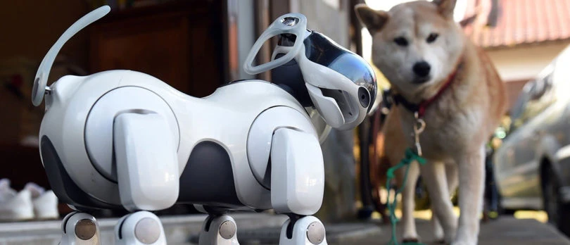 chien robot jouet pat patrouille teksa